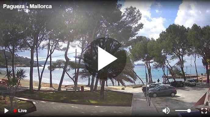 pasión recibo entusiasmo Webcam Paguera Mallorca - Livecam Paguera vom Boulevard auf Strand