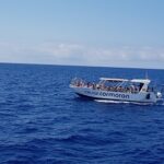 paguera-bootstour-speedboot-palma