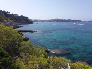 urlaub-auf-mallorca-sommer