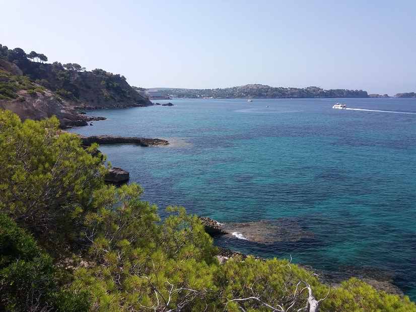 urlaub-auf-mallorca-sommer