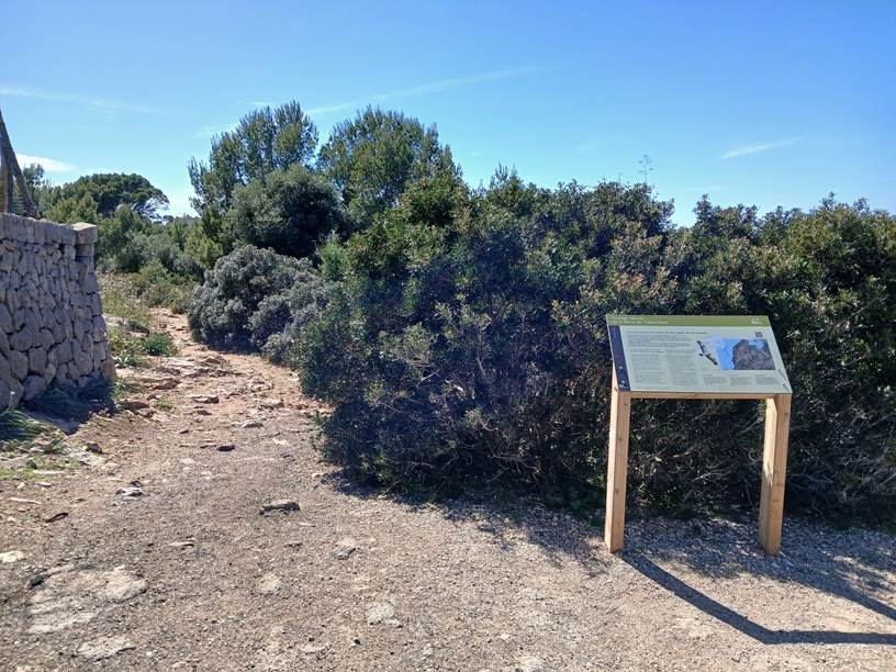 wandern-zu-ostern-auf-mallorca